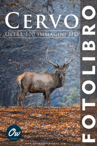 Cervo