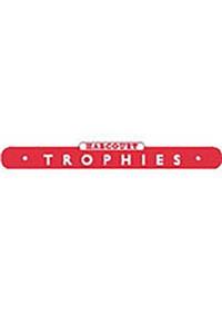 Harcourt School Publishers Trophies: 12/Pack Reading/Language Skills Assessment Grade 5