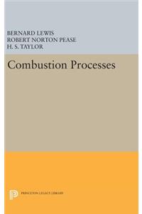 Combustion Processes