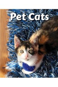 Pet Cats