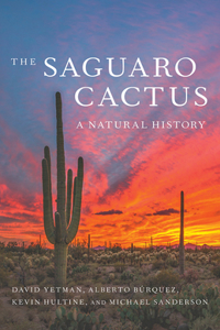 Saguaro Cactus