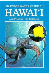 An Underwater Guide to Hawaii