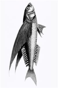 Notizbuch für Kreative