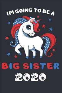 I'm Going To Be A Big Sister 2020