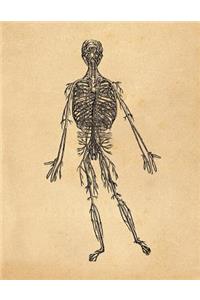 Anatomy Notebook