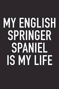 My English Springer Spaniel Is My Life
