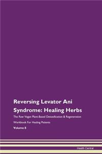 Reversing Levator Ani Syndrome: Healing