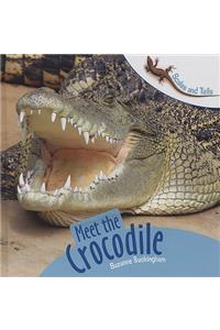 Meet the Crocodile