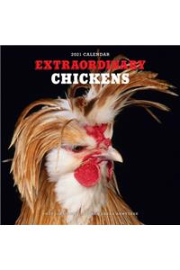 Extraordinary Chickens 2021 Wall Calendar