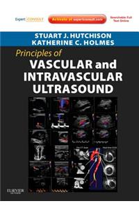 Principles of Vascular and Intravascular Ultrasound