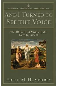 And I Turned to See the Voice