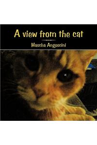 View from the Cat
