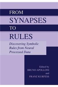 From Synapses to Rules: Discovering Symbolic Rules from Neural Processed Data