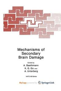 Mechanisms of Secondary Brain Damage