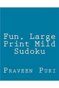 Fun, Large Print Mild Sudoku