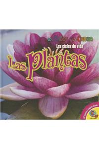 Las Plantas