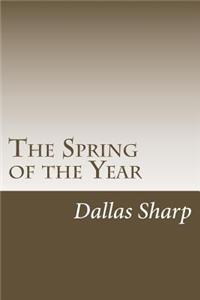 Spring of the Year