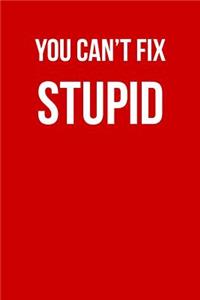 You Can't Fix Stupid