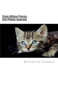 Cute Kitten Poses Cat Photo Journal