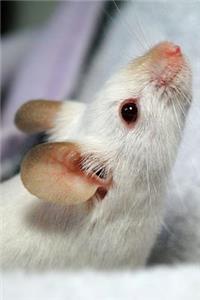 Little White Mouse with a Pink Nose Pet Journal