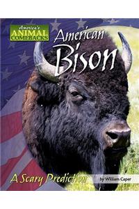 American Bison