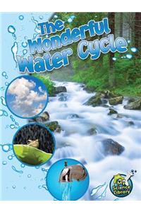 The Wonderful Water Cycle