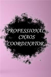 Professional Chaos Coordinator