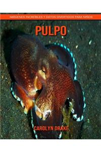 Pulpo