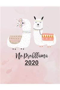 No Probllama 2020