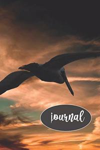 Flying Pelican Journal