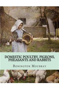 Domestic Poultry, Pigeons, Pheasants and Rabbits