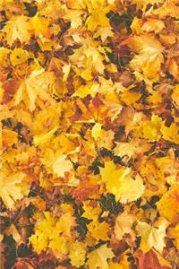 Autumn Journal for Those Who Love Fall