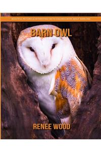 Barn Owl