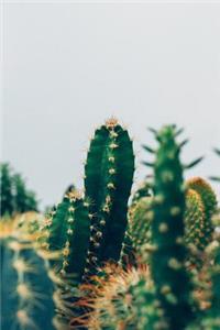 Bullet Journal Cactus Plants Photograph Notebook Dotted Journal