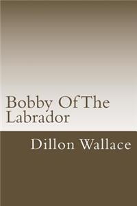 Bobby of the Labrador