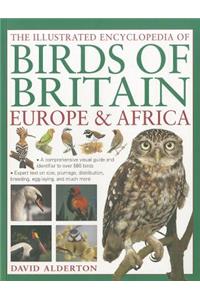 Illustrated Encyclopedia of Birds of Britain, Europe & Africa