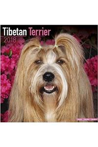 Tibetan Terrier Calendar 2018