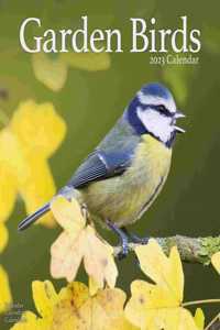 Garden Birds 2023 Wall Calendar