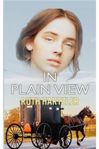 In Plain View