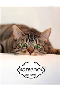 Notebook Journal : Tabby: Pocket Notebook Journal Diary, 120 pages, 8.5 x 11 (Dot-Grid,Graph,Lined,Blank Notebook Journal)