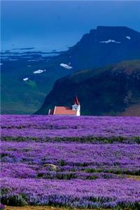 Lavender Fields with Snowy Mountains and Little Church