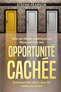 Faire ses études supérieures au Royaume-Uni, une Opportunité Cachée