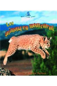 Les Animaux En Mouvement