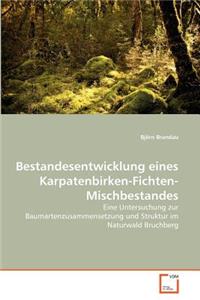 Bestandesentwicklung eines Karpatenbirken-Fichten-Mischbestandes