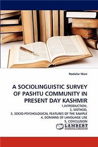 Sociolinguistic Survey of Pashtu Community in Present Day Kashmir