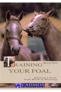 Training Your Foal