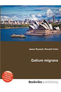 Galium Migrans