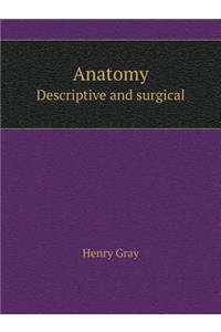 Anatomy Descriptive and Surgical