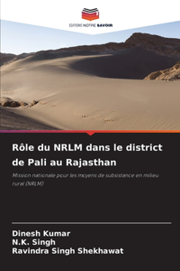 Rôle du NRLM dans le district de Pali au Rajasthan