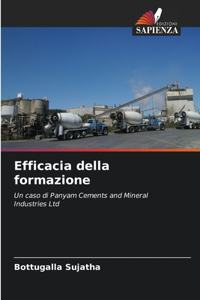 Efficacia della formazione